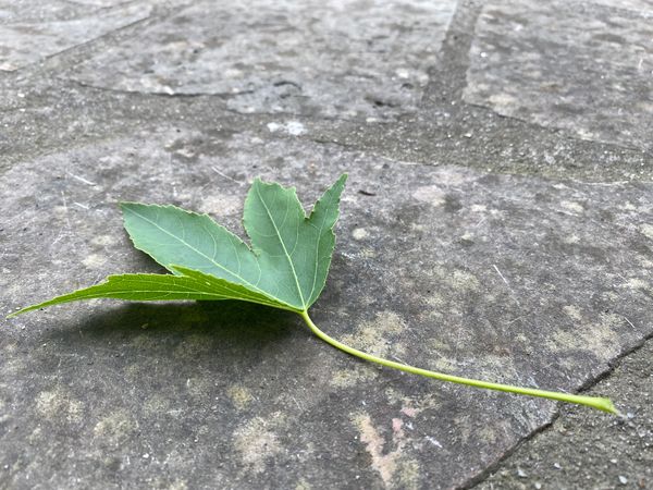 又下雨了