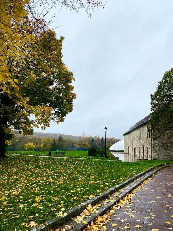 踏秋行/Promenade en automne